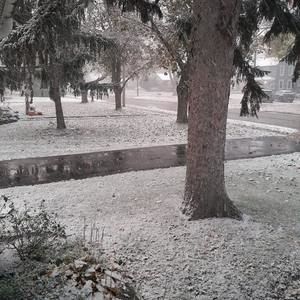 Meet your Posher, Peggy